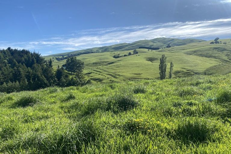 Photo of property in 490 Bluff Rangitumau Road, Rangitumau, Masterton, 5871