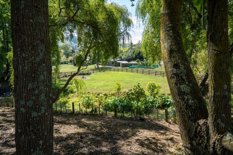 Photo of property in 398 French Pass Road, Karapiro, Cambridge, 3496