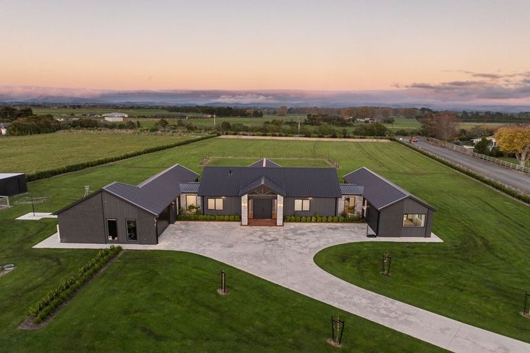 Photo of property in 1203 Camerons Line, Aorangi, Feilding, 4775
