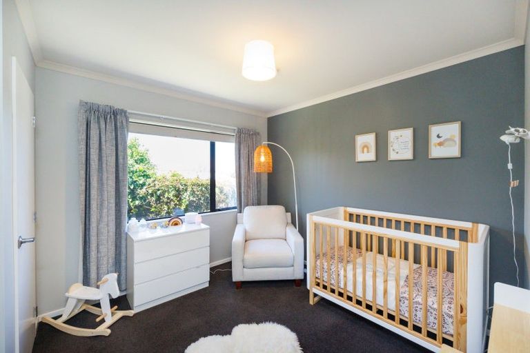 Photo of property in 66 Fraser Drive, Feilding, 4702