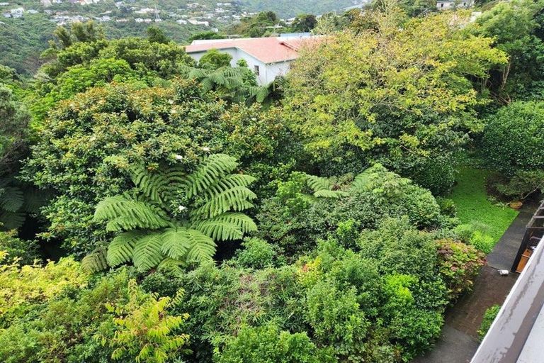 Photo of property in 116f8 Mairangi Road, Wilton, Wellington, 6012