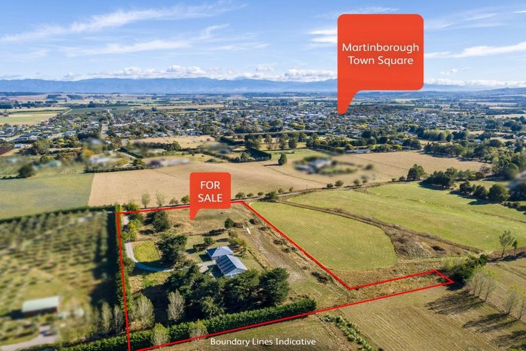 Photo of property in 144 Dublin Street, Martinborough, 5711