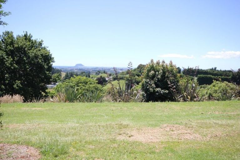 Photo of property in 229b Crawford Road, Minden, Tauranga, 3171