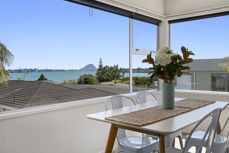 Photo of property in 343 Maungatapu Road, Maungatapu, Tauranga, 3112