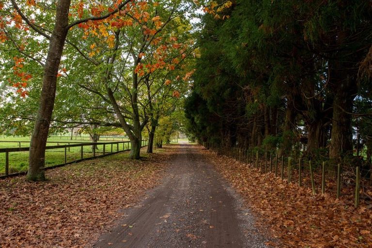 Photo of property in 221 Hamurana Road, Hamurana, Rotorua, 3097
