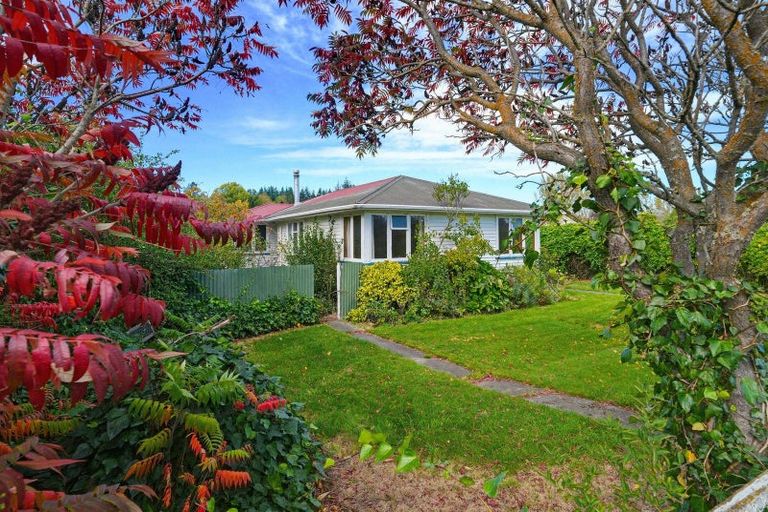 Photo of property in 24 Hawkswood Street, Waiau, 7332