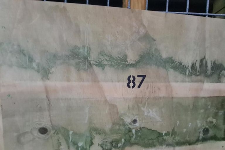 Photo of property in Bella Vista, 1f/84 Gunner Drive, Te Atatu Peninsula, Auckland, 0610