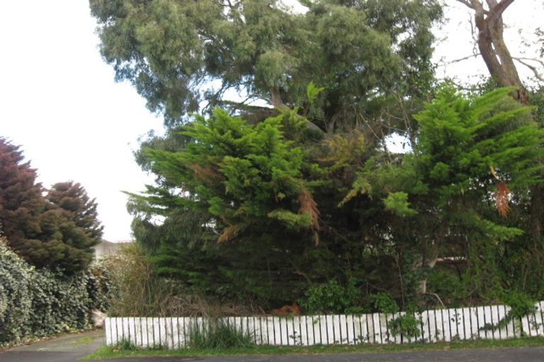 Photo of property in 515 Manchester Street, St Albans, Christchurch, 8014