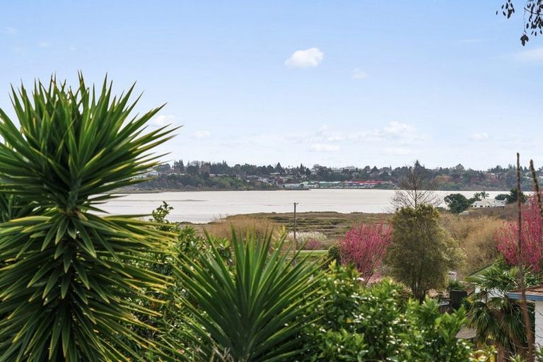 Photo of property in 101b Ohauiti Road, Hairini, Tauranga, 3112