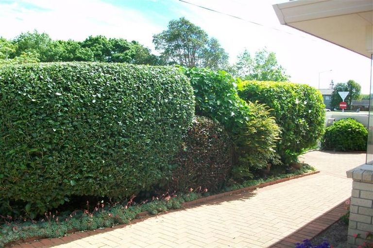 Photo of property in 59a Ngatai Road, Otumoetai, Tauranga, 3110