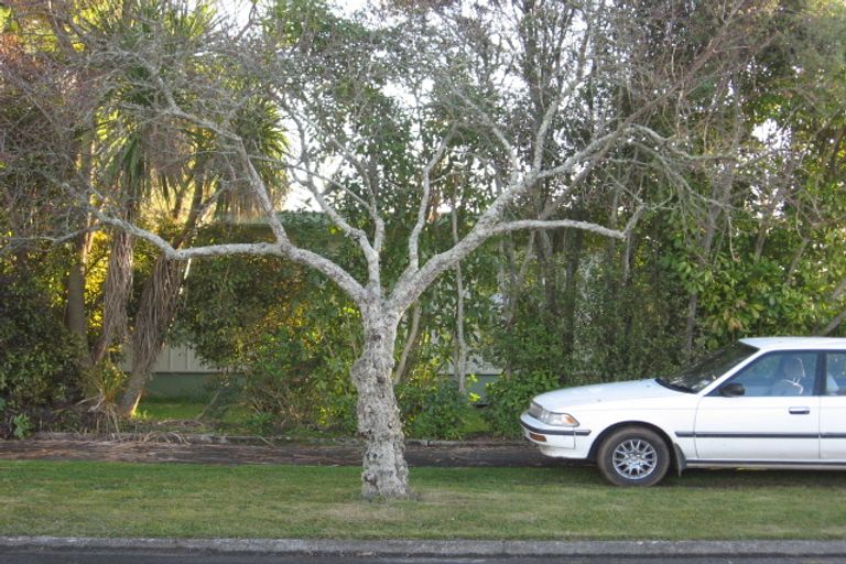 Photo of property in 233 Dey Street, Hamilton East, Hamilton, 3216