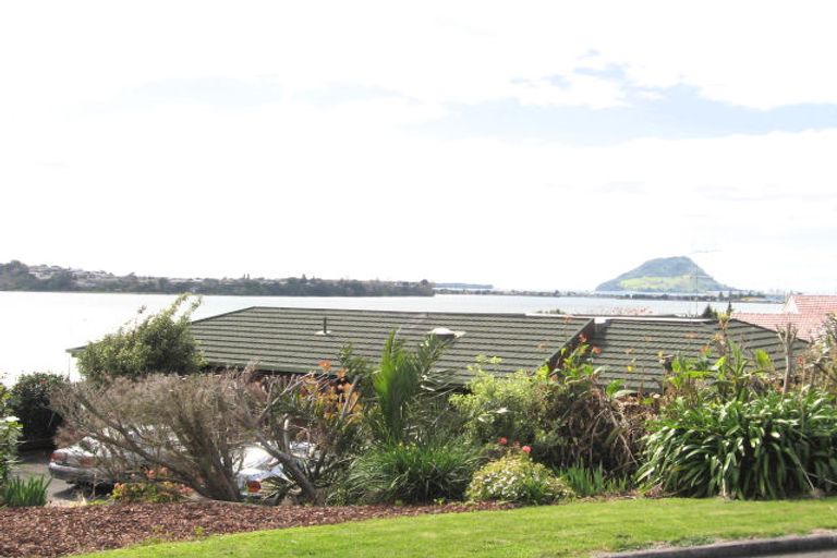 Photo of property in 89 Fifth Avenue, Tauranga, 3110