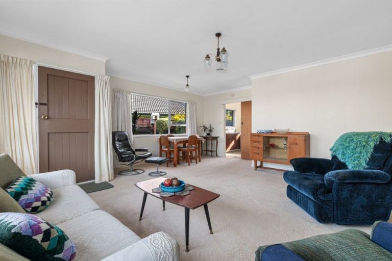 Photo of property in 137 Bellevue Road, Brookfield, Tauranga, 3110