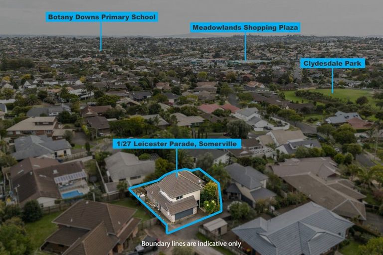 Photo of property in 1/27 Leicester Parade, Somerville, Auckland, 2014