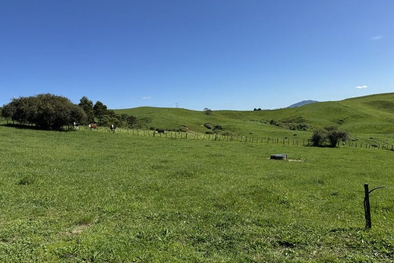 Photo of property in 92 Mountain View Road, Otorohanga, 3900