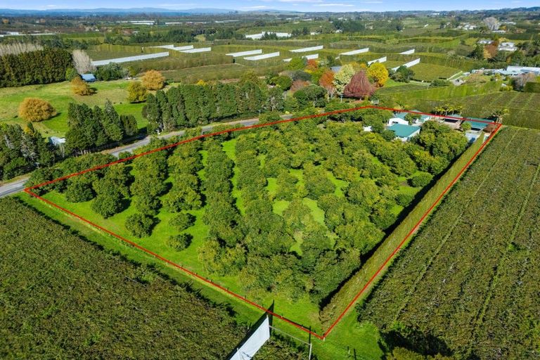 Photo of property in 204a No 2 Road, Te Puke, 3182