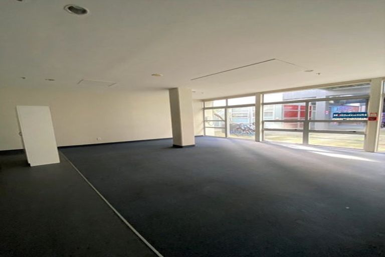 Photo of property in Hanson House, 27u2 Hanson Street, Mount Cook, Wellington, 6021