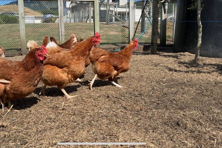 Photo of property in 27 Raukawa Road, Peka Peka, Waikanae, 5391