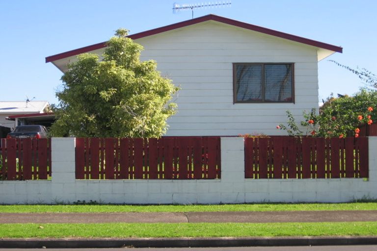 Photo of property in 73 Mahunga Drive, Favona, Auckland, 2024