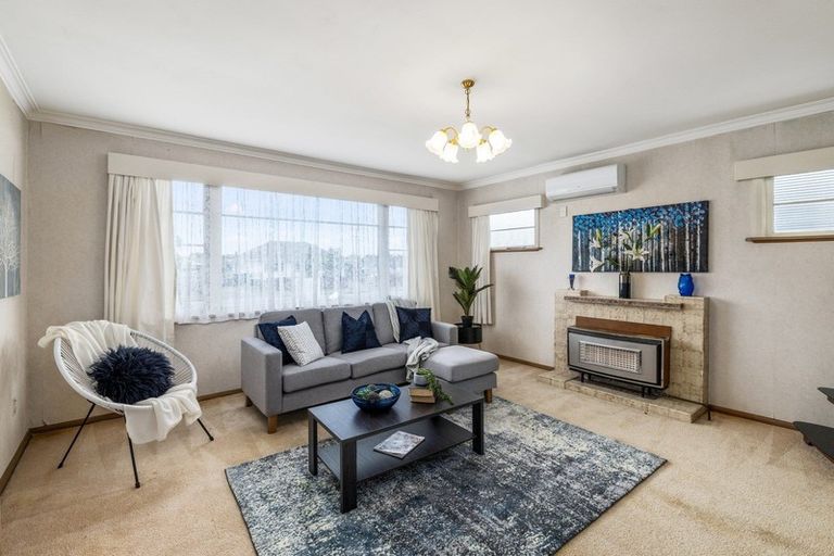 Photo of property in 36 Winchester Street, Levin, 5510