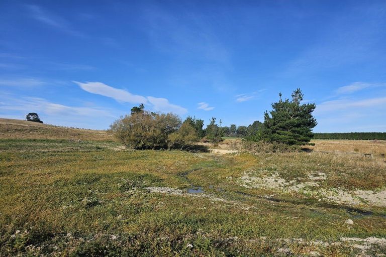 Photo of property in 404 Bush Road, Coopers Creek, Oxford, 7495