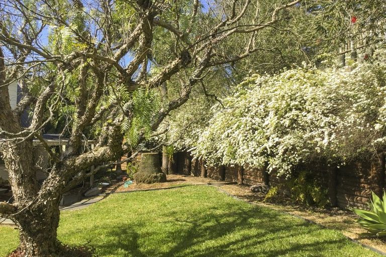 Photo of property in 3 Pukeko Lane, Brookfield, Tauranga, 3110