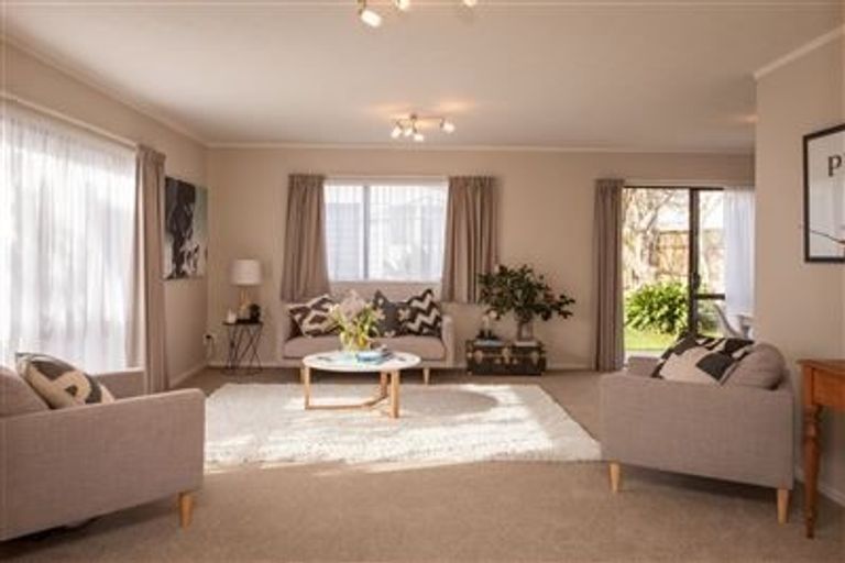 Photo of property in 19 Moxham Avenue, Hataitai, Wellington, 6021