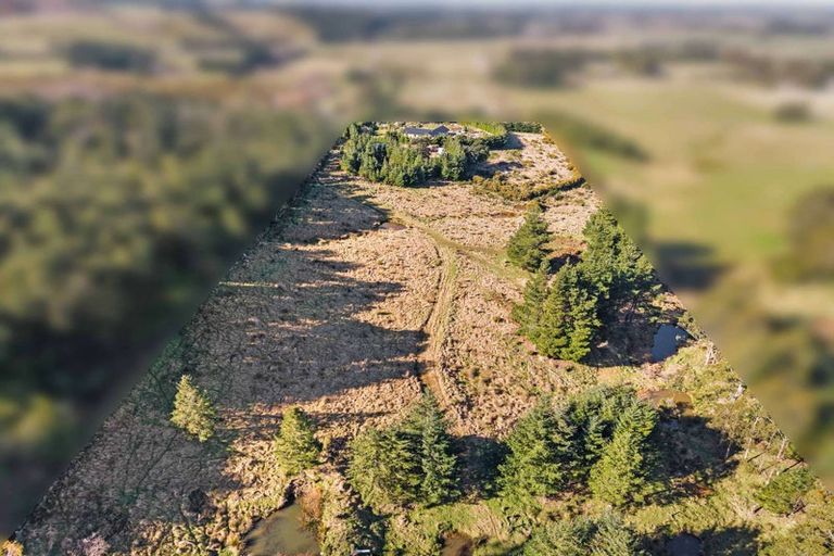 Photo of property in 83 Sladdens Bush Road, Coopers Creek, Oxford, 7495