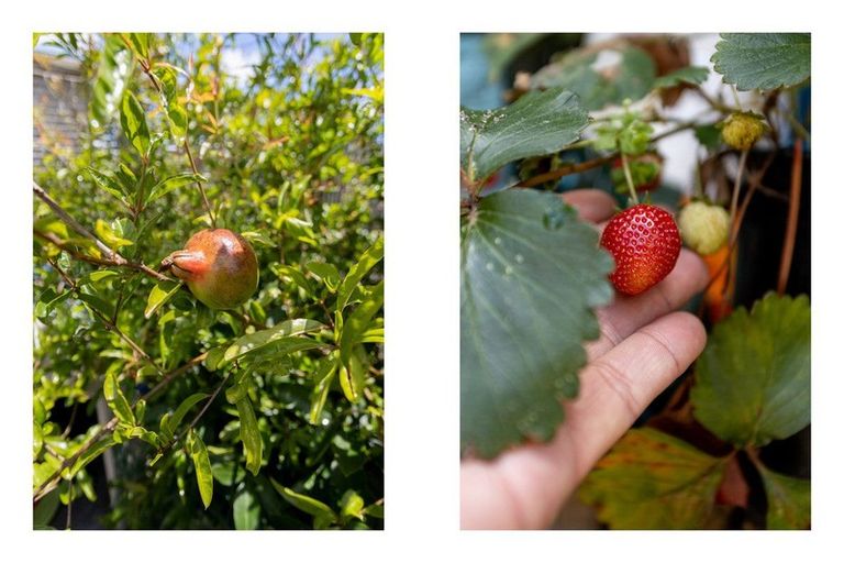 Photo of property in 11a Garaway Street, Whakatane, 3120