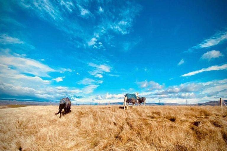 Photo of property in 239 Nelsen Ridge Road, Waikerikeri, Alexandra, 9393