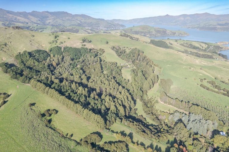 Photo of property in 88 Sawmill Road, Robinsons Bay, Akaroa, 7581
