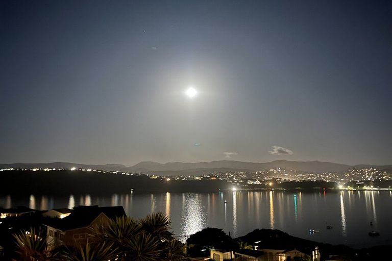 Photo of property in 57 Matai Road, Hataitai, Wellington, 6021