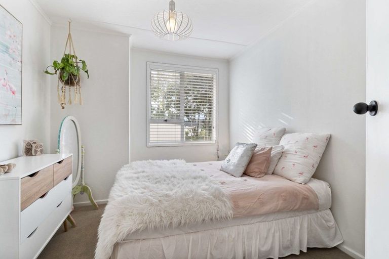 Photo of property in 86 Queen Street, Te Puke, 3119