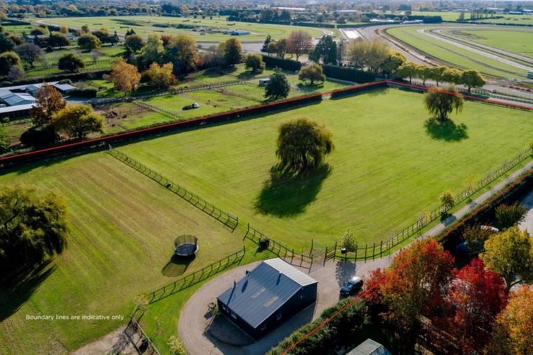 Photo of property in 25 Racecourse Road, Cambridge, 3493