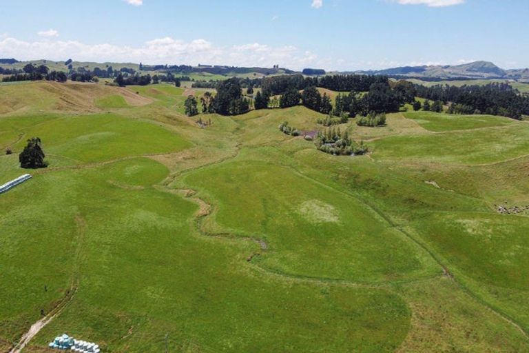 Photo of property in 4-6 Hammond Road, Taradale, Napier, 4112