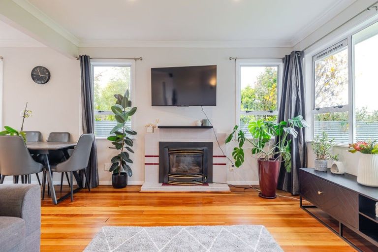 Photo of property in 4 Eton Place, Terrace End, Palmerston North, 4410