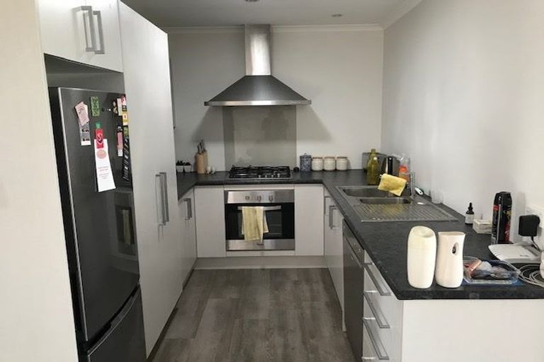 Photo of property in 193u1 Massey Street, Frankton, Hamilton, 3204