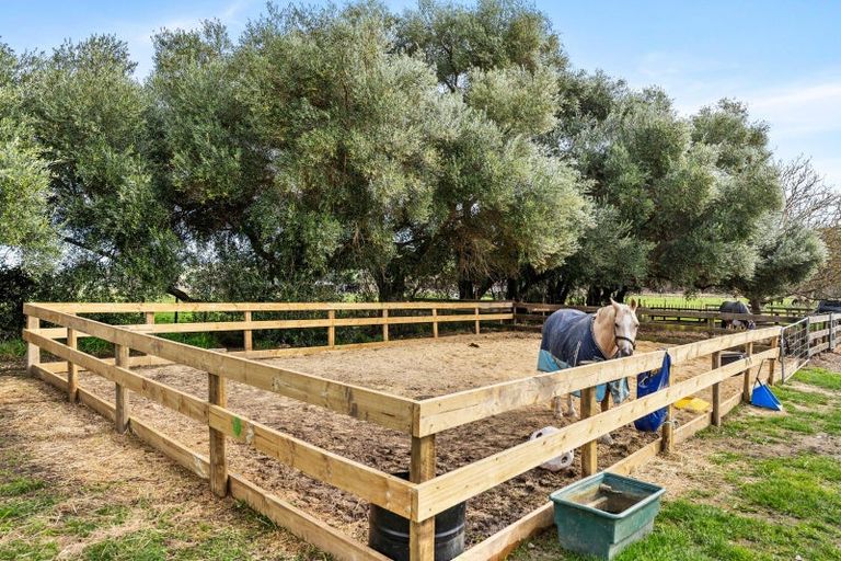 Photo of property in 135 Te Mahanga Road, Poukawa, Hastings, 4178