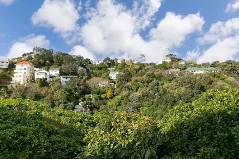 Photo of property in 97b Raroa Road, Aro Valley, Wellington, 6012