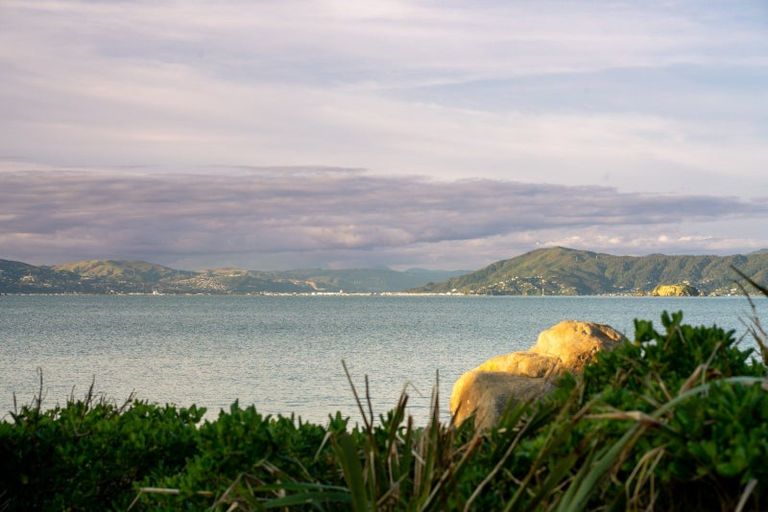 Photo of property in 11 Boardwalk Lane, Seatoun, Wellington, 6022