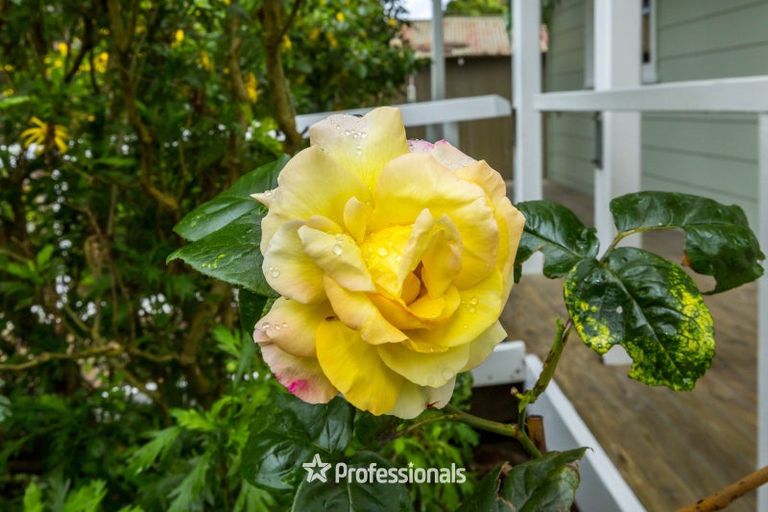 Photo of property in 3 Plateau Road, Te Marua, Upper Hutt, 5018