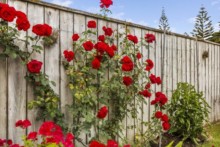 Photo of property in 202 Whirinaki Road, Eskdale, Napier, 4182