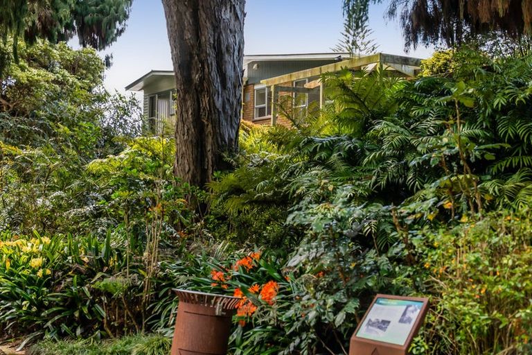 Photo of property in 4/1 Gilbert Street, New Plymouth, 4310