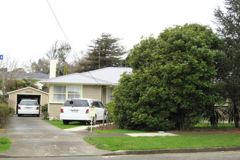 Photo of property in 17 Hobson Street, Levin, 5510