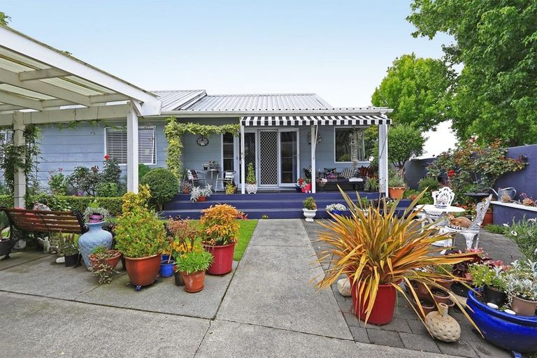 Photo of property in 302 Leo Street, Akina, Hastings, 4122