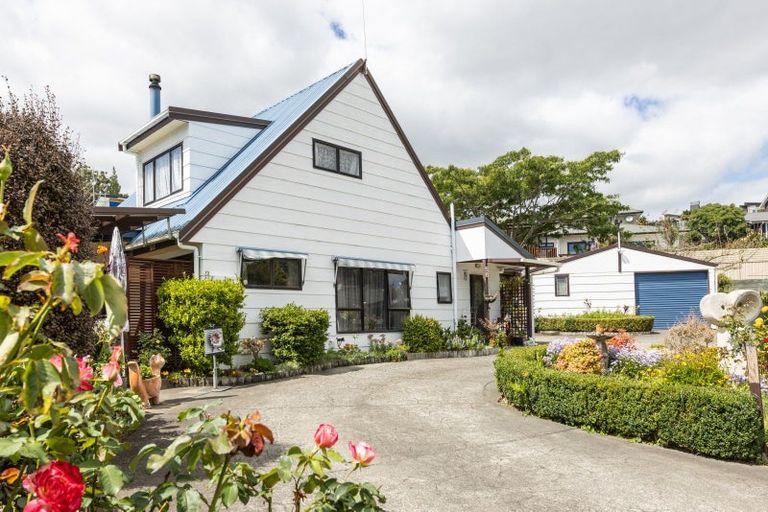 Photo of property in 58 James Cook Street, Havelock North, 4130