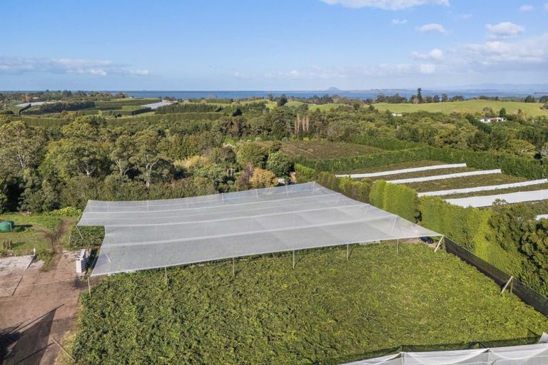 Photo of property in 416 State Highway 2, Tahawai, Katikati, 3170