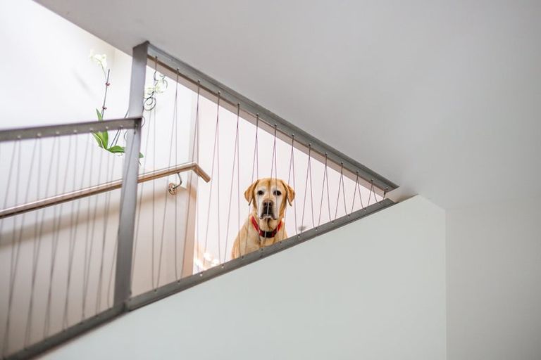 Photo of property in 4 Helm Place, Whitby, Porirua, 5024