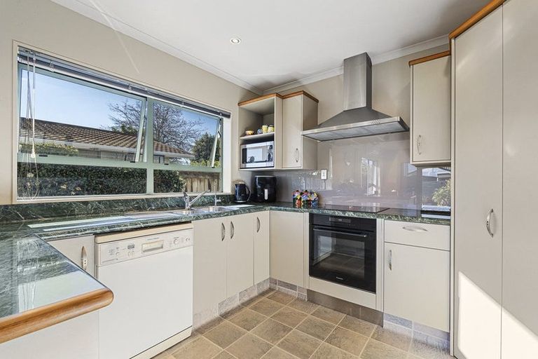 Photo of property in 153a Carrington Street, Lower Vogeltown, New Plymouth, 4310