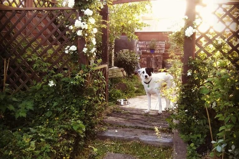 Photo of property in 2/57 Solar Road, Glen Eden, Auckland, 0602